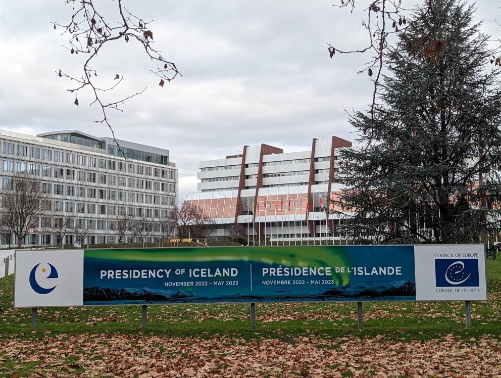 Ný tilmæli Evrópuráðsins um ábyrgð aðildarríkja í baráttu gegn stafrænu ofbeldi gegn konum og stúlku&hellip;