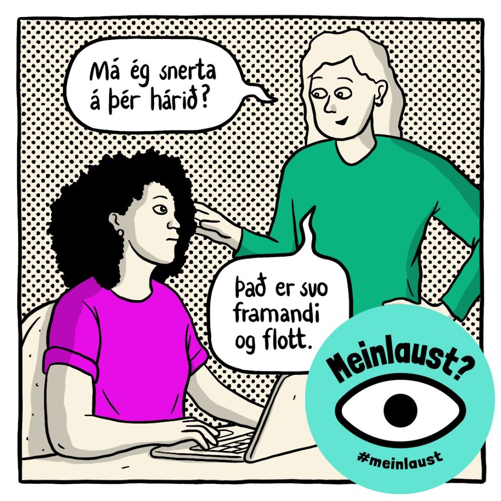 Meinlaust - konur af erlendum uppruna í fókus