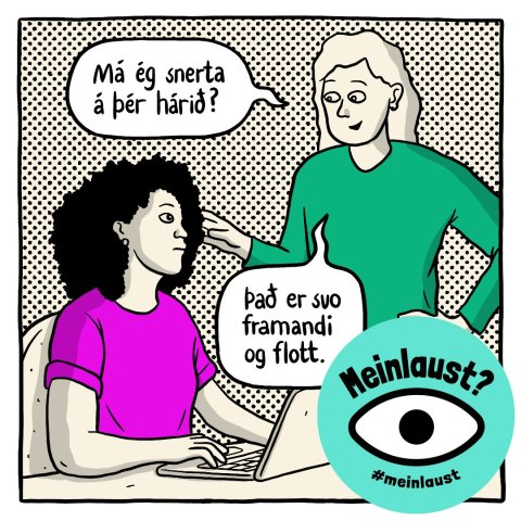 Meinlaust - konur af erlendum uppruna í fókus