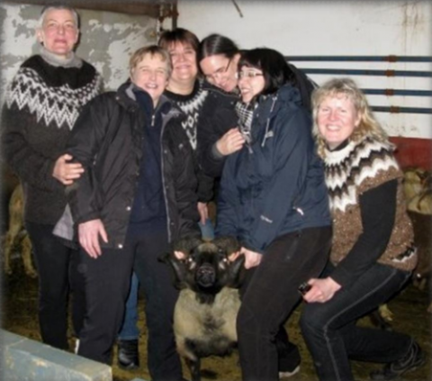 Staða kvenna í sauðfjárrækt