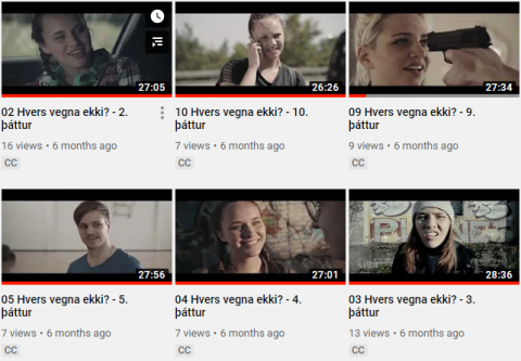 Sjónvarpsþáttaröðin HVERS VEGNA EKKI?!